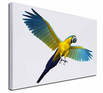 In-Flight Flying Parrot Canvas X-Large 30"x20" Wall Art Print