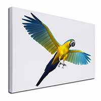 In-Flight Flying Parrot Canvas X-Large 30"x20" Wall Art Print