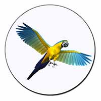 In-Flight Flying Parrot Fridge Magnet Printed Full Colour