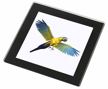 In-Flight Flying Parrot Black Rim High Quality Glass Coaster