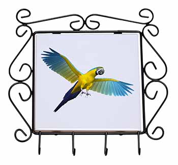 In-Flight Flying Parrot Wrought Iron Key Holder Hooks