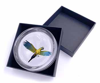 In-Flight Flying Parrot Glass Paperweight in Gift Box
