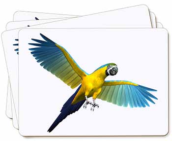 In-Flight Flying Parrot Picture Placemats in Gift Box