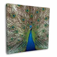 Rainbow Feathers Peacock Square Canvas 12"x12" Wall Art Picture Print