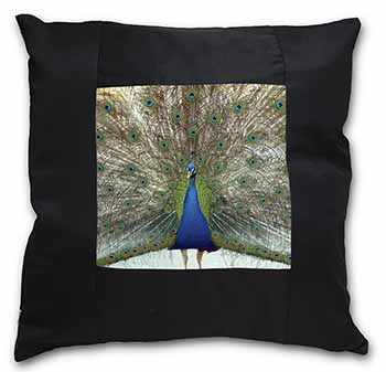 Rainbow Feathers Peacock Black Satin Feel Scatter Cushion