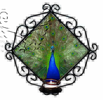 Rainbow Feathers Peacock Wrought Iron Wall Art Candle Holder