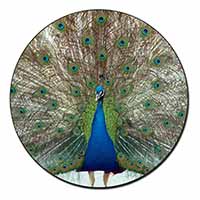 Rainbow Feathers Peacock Fridge Magnet Printed Full Colour