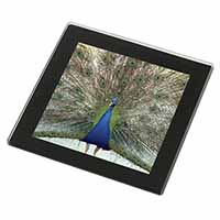 Rainbow Feathers Peacock Black Rim High Quality Glass Coaster