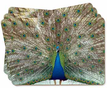 Rainbow Feathers Peacock Picture Placemats in Gift Box