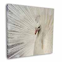 White Feathers Peacock Square Canvas 12"x12" Wall Art Picture Print