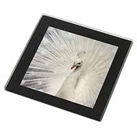 White Feathers Peacock Black Rim High Quality Glass Coaster