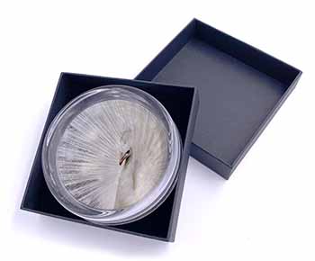 White Feathers Peacock Glass Paperweight in Gift Box