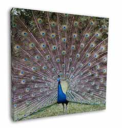 Colourful Peacock Square Canvas 12"x12" Wall Art Picture Print