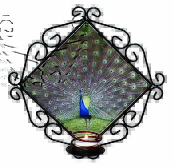 Colourful Peacock Wrought Iron Wall Art Candle Holder