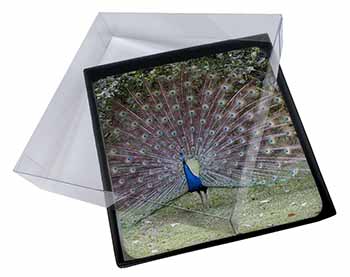 4x Colourful Peacock Picture Table Coasters Set in Gift Box