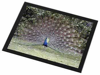 Colourful Peacock Black Rim High Quality Glass Placemat