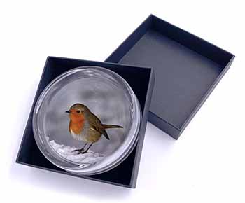Robin on Snow Wall Glass Paperweight in Gift Box