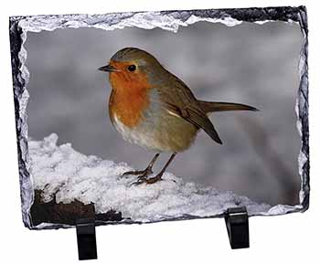 Robin on Snow Wall, Stunning Photo Slate