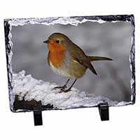 Robin on Snow Wall, Stunning Photo Slate