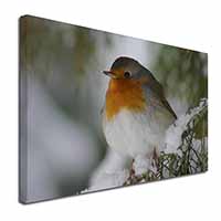 Robin Red Breast in Snow Tree Canvas X-Large 30"x20" Wall Art Print