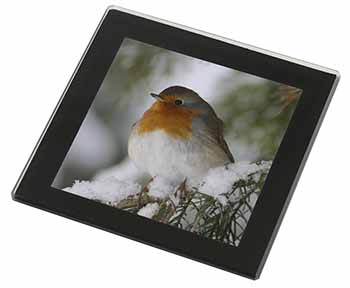 Robin Red Breast in Snow Tree Black Rim High Quality Glass Coaster