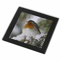 Robin Red Breast in Snow Tree Black Rim High Quality Glass Coaster