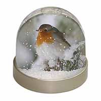 Robin Red Breast in Snow Tree Snow Globe Photo Waterball