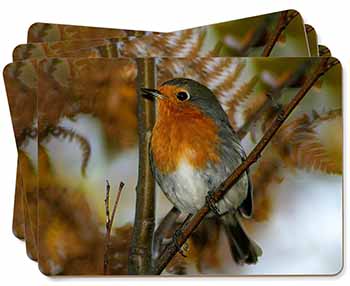 Autumn Robin Red Breast Picture Placemats in Gift Box