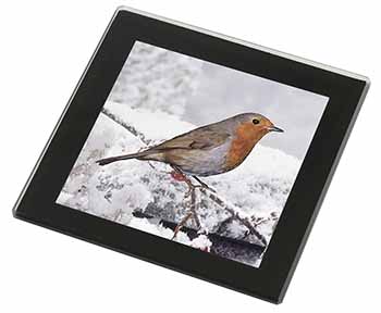 Winter Robin on Snow Branch Black Rim High Quality Glass Coaster