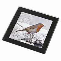 Winter Robin on Snow Branch Black Rim High Quality Glass Coaster