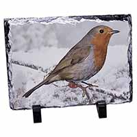 Winter Robin on Snow Branch, Stunning Photo Slate