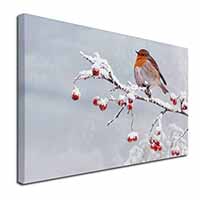 Robin on Snow Berries Branch Canvas X-Large 30"x20" Wall Art Print