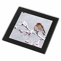 Robin on Snow Berries Branch Black Rim High Quality Glass Coaster