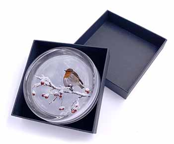 Robin on Snow Berries Branch Glass Paperweight in Gift Box