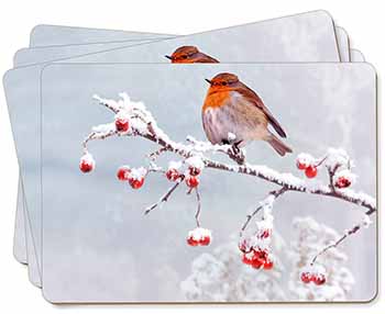 Robin on Snow Berries Branch Picture Placemats in Gift Box