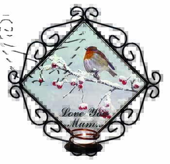 Snow Robin 