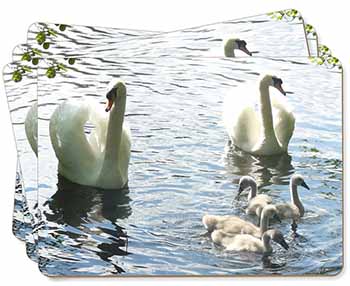 Swans and Ducks Picture Placemats in Gift Box