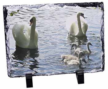 Swans and Ducks, Stunning Photo Slate