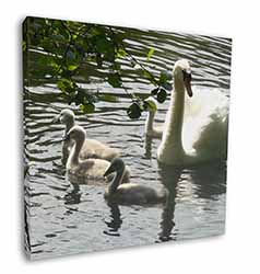 Swans and Baby Cygnets Square Canvas 12"x12" Wall Art Picture Print
