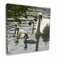 Swans and Baby Cygnets Square Canvas 12"x12" Wall Art Picture Print