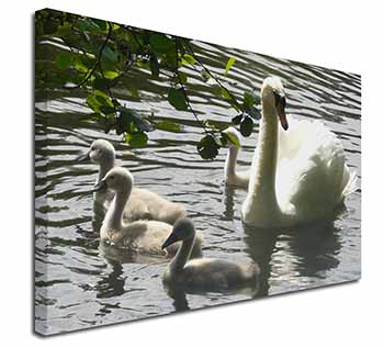 Swans and Baby Cygnets Canvas X-Large 30"x20" Wall Art Print