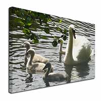 Swans and Baby Cygnets Canvas X-Large 30"x20" Wall Art Print