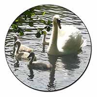 Swans and Baby Cygnets Fridge Magnet Printed Full Colour