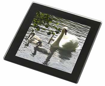 Swans and Baby Cygnets Black Rim High Quality Glass Coaster