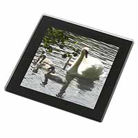 Swans and Baby Cygnets Black Rim High Quality Glass Coaster