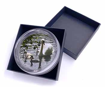 Swans and Baby Cygnets Glass Paperweight in Gift Box