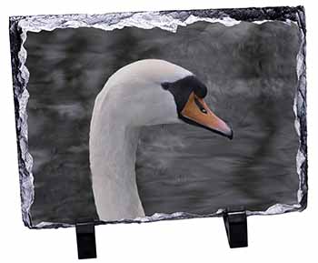 Face of a Swan, Stunning Photo Slate