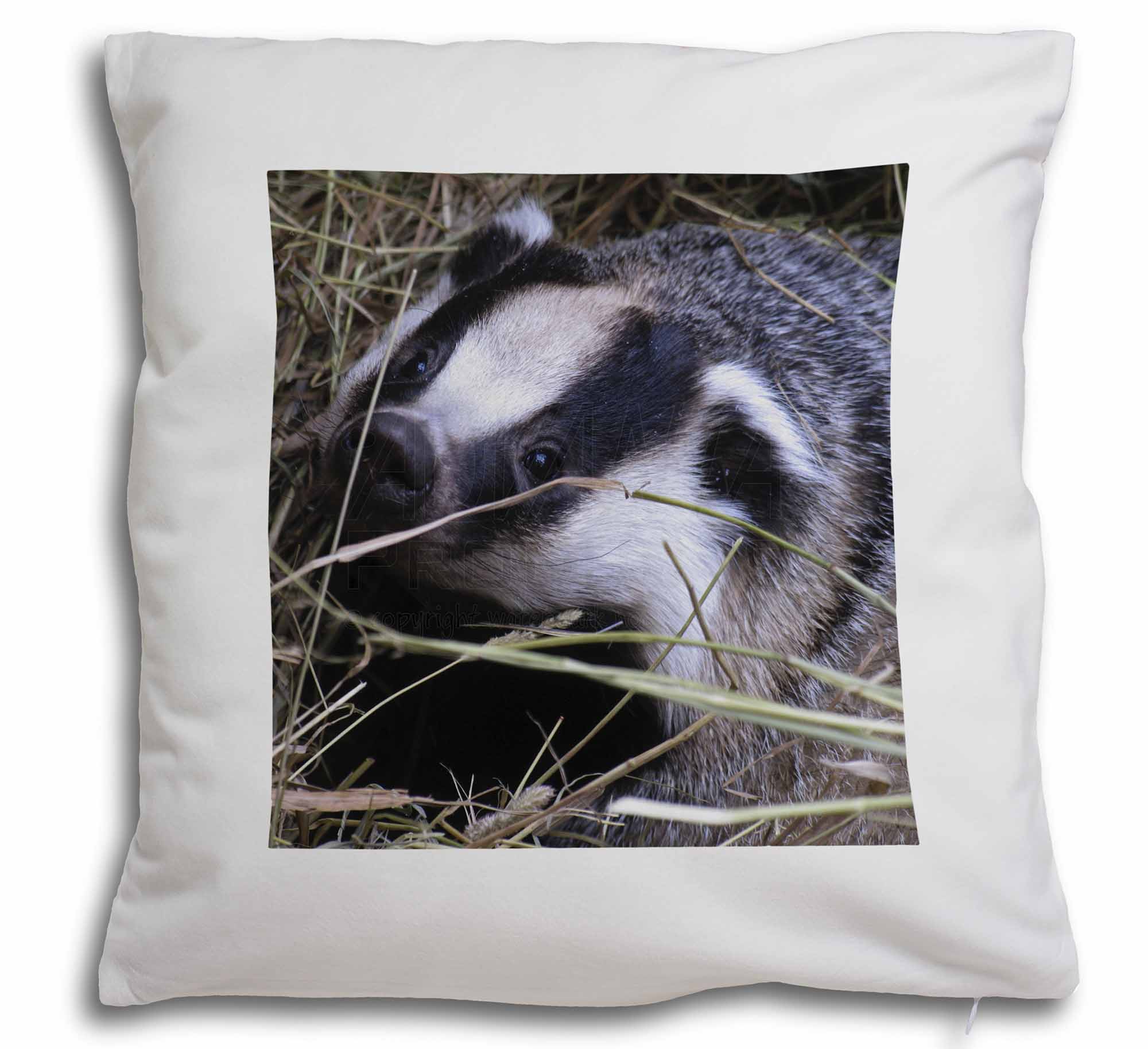 ABA-1-CPW Badger in Straw Soft Velvet Feel Cushion Cover With Inner Pillow 