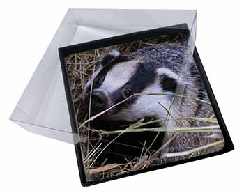 4x Badger in Straw Picture Table Coasters Set in Gift Box