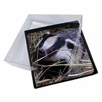 4x Badger in Straw Picture Table Coasters Set in Gift Box